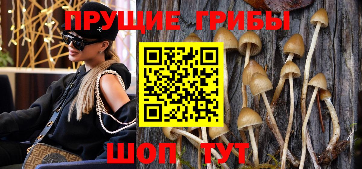 Галлюциногенные грибы прущие грибы Троицк