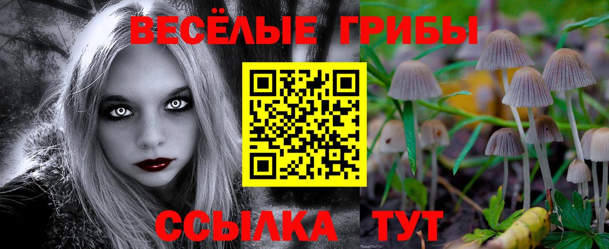 Галлюциногенные грибы MAGIC MUSHROOMS  Вход с VPN  Троицк 